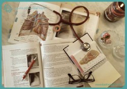 آغاز پذیرش دانشجوی دکتری تخصصی پژوهش‌محور در چهار رشته