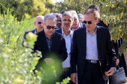 بازدید رییس و معاون تسهیلات صندوق رفاه دانشجویان وزارت بهداشت به روایت تصویر